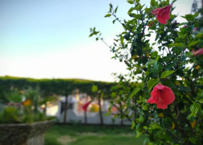 يالسين Çeşme