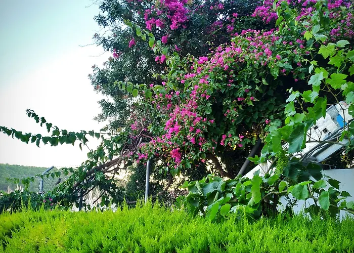 فندق يالسين