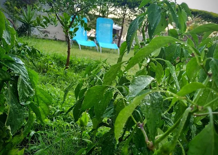 فندق يالسين 2*