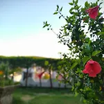 Yalcin Cesme