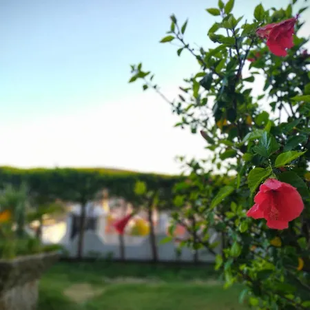 Yalcin Çeşme