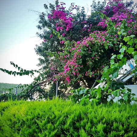 Otel Yalcin